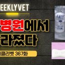 나비동물병원 이미지