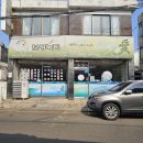 초록애보성녹돈