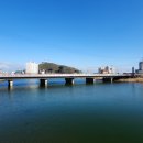 축산교 티스토리
