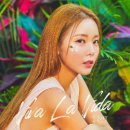 비바라비다 티스토리