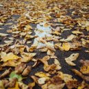 삼덕한의원 | 한약다이어트환 후기? 빼는 것보다 중요한 것은