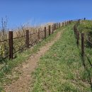 지리산허브벨리 이미지