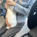 모여라동물병원 이미지