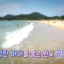 금일에스앤에프㈜ 이미지