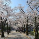 마이산북부관광안내소 이미지