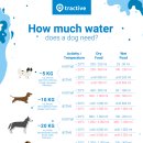 세종다온동물병원 이미지