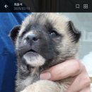 묘산면사무소 이미지