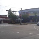 중앙로가로수 이미지