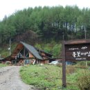 세쌍둥이네 풀꽃세상 이미지