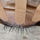 동헌로 307번길 이미지