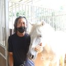 당진 승마장 이미지