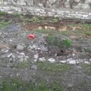 꿀맛붕어빵 이미지