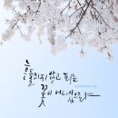 흔들리며 피는 꽃 이미지