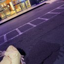 백호목장 이미지