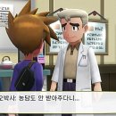 상록체육관 이미지