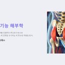 &#34;중둔근의 기능해부학 Functional anatomy of the gluteus medius&#39; / 리업필라테스 이미지