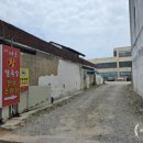 주문진황태 | 주문진칼국수 맛집 나운장칼국수 주문진점 도깨비 촬영지 근처 황태장칼국수 후기