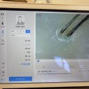 지성헤어크리닉 이미지