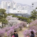 효성문구 - 달서구 송현로 81 | 효성문구