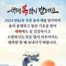 메이에르진 이미지