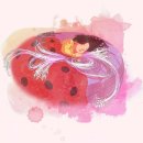 에듀카프 이미지