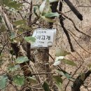 수정화원 이미지