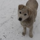 원시한증막 이미지