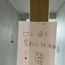 장미속옷 이미지