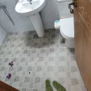 에이스컴퍼니 이미지