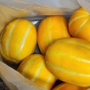 성주환경 | 맛있는 성주 참외 고르는법 칼로리 구매후기