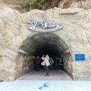 영도빌딩 앞 티스토리