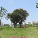 시민공원 이미지