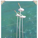 산음숲자연학교 이미지