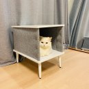 캣가구 아트룸 (ARTRoom) 고양이 숨숨집 고급스럽고 예뻐요