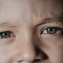 애플트리 이미지