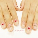 아르고네일 이미지