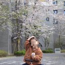 (주)아이파마 네이버블로그
