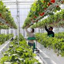 대열농장 이미지