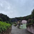 마로니에펜션 | 가평 빠지 리버포인트 연계펜션 마로니에펜션 프리지아 후기