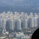 5595 파이낸셜뉴스