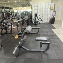 파워랙, 암컬랙(바제외), 펜듈럼스쿼트머신 팝니다 이미지