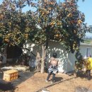 본욱농장 이미지