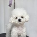 솔밭미용실