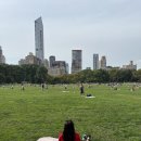 장안초원A신호등 앞 | 뉴욕 센트럴파크 피크닉 장소 위치 맛집 추천