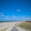 바다생각 이미지