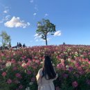 버니팔레트미술학원 | [강서/마곡] 마곡나루 취미미술 팔레트정원, 한 달 클래스 직접 다녀본 솔직후기(초보자도 할 수 있다!)