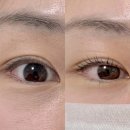 기브로우 | 부산 사직동 속눈썹 펌잘하는 기브로우 듀얼펌후기