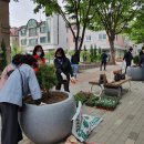 마을정원유지관리 이미지