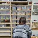 대덕대로233번길 | 구경만 해도 시간 순삭 둔산동 파충류샵 낭게코 다녀왔어요