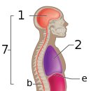 대세당한의원 이미지